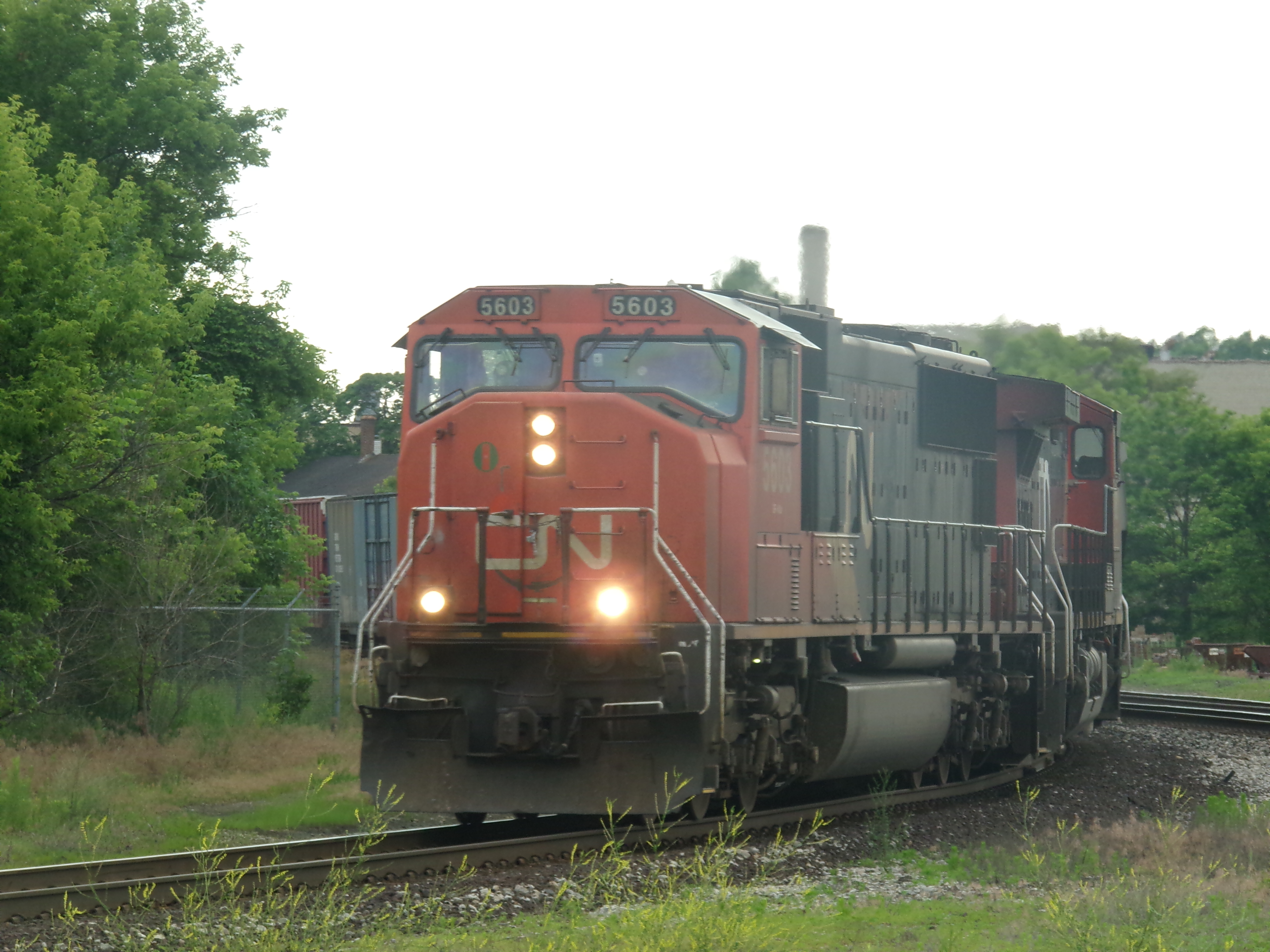 CN 5603